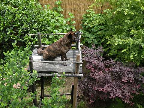 Img_05b7411957b4a13e3cc4bdf4c3c758285d7f6d8e