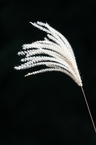 Img_0c78a511c4a311a6c777adad65ce9ad139ded0c0