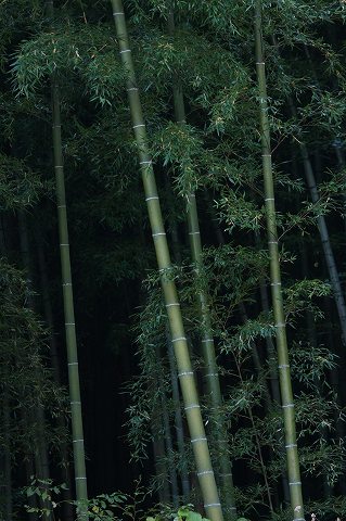 Img_117f494e8dd8177c1d90b4ea2321c7b1c1715c32