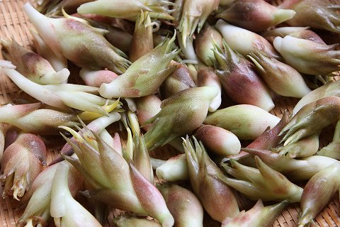 Img_1986c6ed829755a8d8e0566fd05890a8cec5be2c