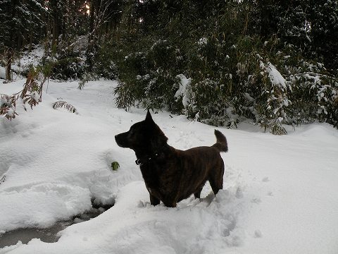 Img_1de51e308128227f9833a1acbc5af5a0768ecb01