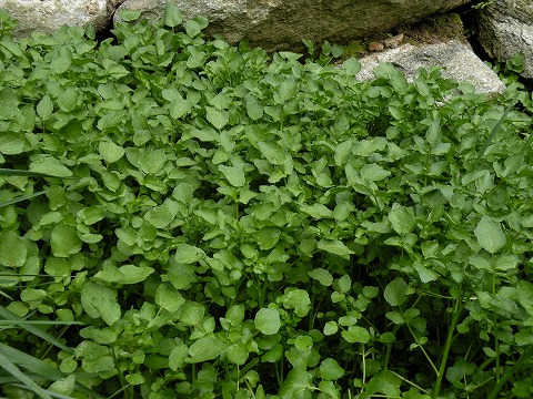 Img_1e3dc953bb217fc0a907a5f77a7bbe7be1f48c95