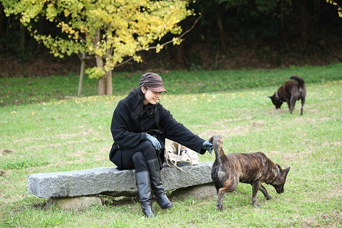 Img_2be844a7b084062da7c4546438afe774271672dc