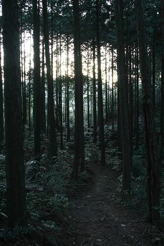 Img_2c86cfef4ffa6536b45945775b81b837020c27d6