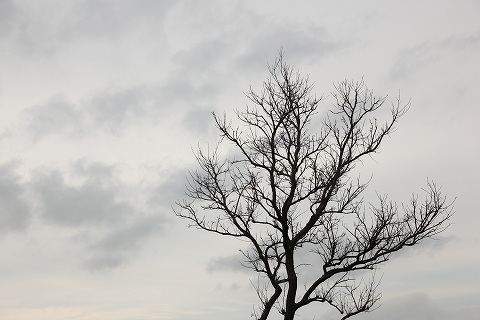 Img_2ca90b64a977ab78ee163fd195b65b1137d3dfb2