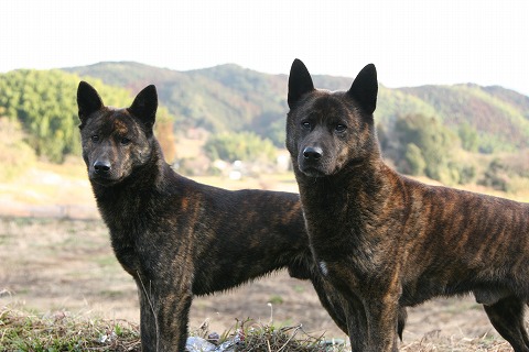 Img_35a4d79655d6e552ea3c8951df8aadf4b40d5ca5