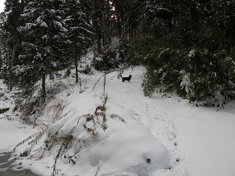 Img_45810ce5134042ef3d77a0d03fb252a9a543a073