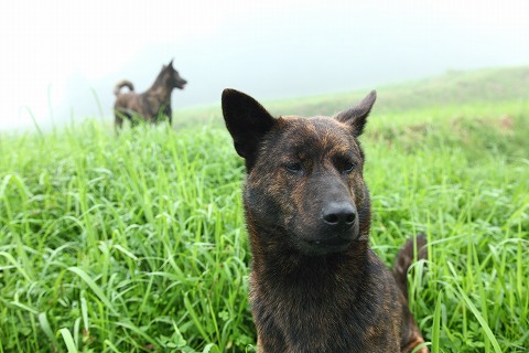 Img_4917fca657bcd76f174602413df580c015bb7d65