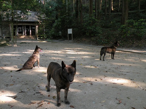 Img_4a6e6ba8cd6b66049b3a8614580ef26926bd16a1