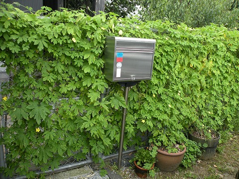 Img_4e0ba5e6878c8e2d2e15ba5d402a0ce7c6f0bd70