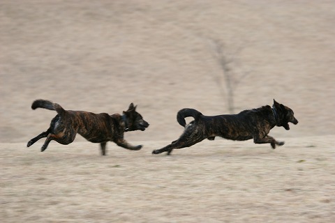 Img_52ee7b7af6c7886ddb75407736fa43f2ac86342a