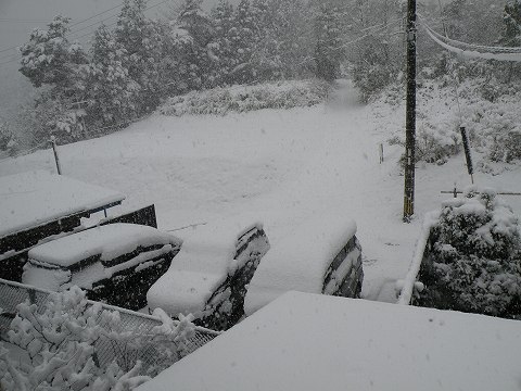 Img_5632f2858e9cd1ff400ae3a6db3fbc21747cd401