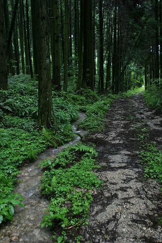 Img_57dd94f680042d67e1b09af9a242148ccd9be7f7