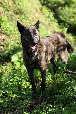 Img_655e36d4d1823eaa281145318b1bbb3a28752425