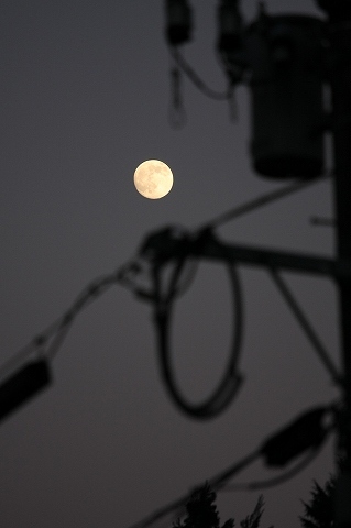 Img_6d22a9035c1ccb991a18aced47600f52604d1bf4