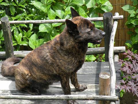 Img_79e63c0697185619aa728c5830a755885dc7b98b