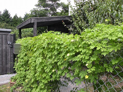 Img_80a0f500da2b3da94684027cc324056325df1cac