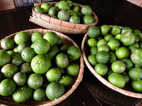 Img_81a3706a53cc28f422384d9ec723e1cc49d0f000