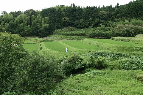 Img_87a5b7d540079bfb512664da6a0824353b9ebd5d