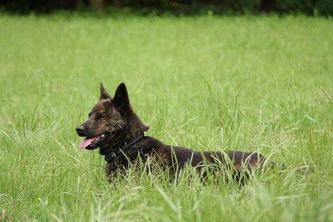 Img_8c4a1736ffb0fb7f3cc840c1e07f6ab4bc13fda0