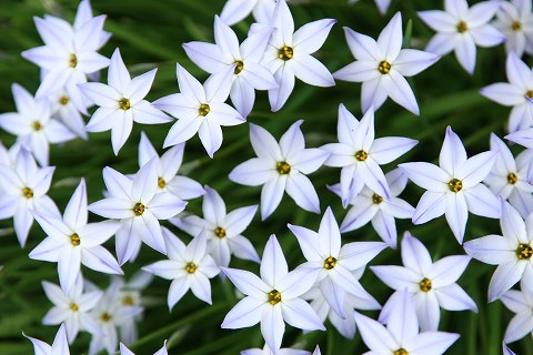 Img_985e7a2d99b23d3bcddc1f471b31bde388fa0239