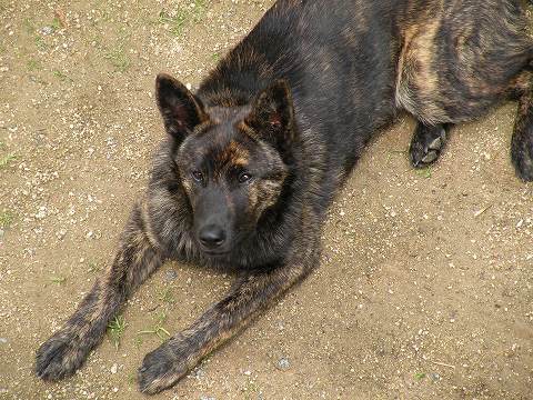 Img_9a3850577620f036fb1cb7ec3312655b84d92b60