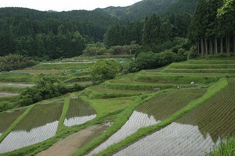 Img_9f37c79e9c4301ef2a0ea6f5ffe6a409992eaf59