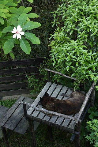 Img_b2204e20702fd700b2c24f4e0282498f29a2511b