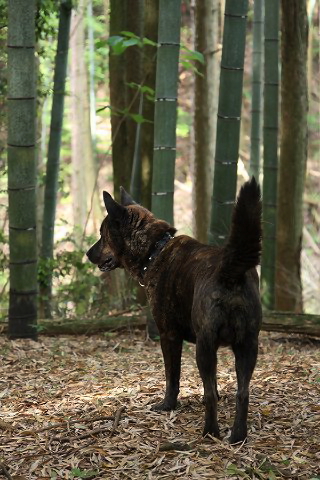 Img_b8163da0f0d3019a4a19f42b9580403f16f76a6f