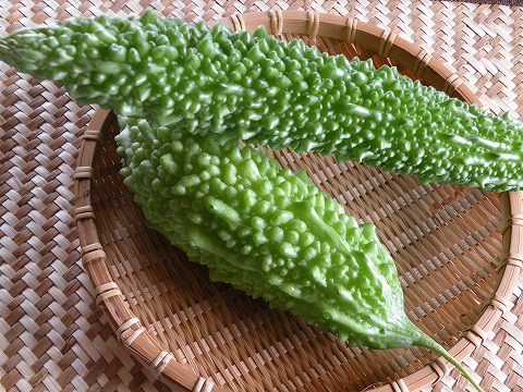 Img_b917ae65a007e927b67a5df8aa56670ff17f86e5