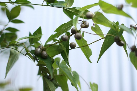 Img_d0c86237c58a2334bde47361357d6d2f81978262