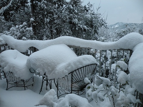 Img_d26b2db89580e31a66511b246e15bf7e4589c351