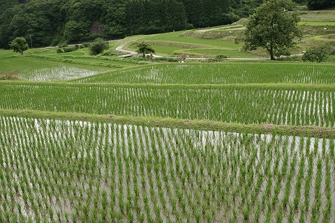 Img_d2b80a953d3e2529b4915e6d345d8930040c56c2