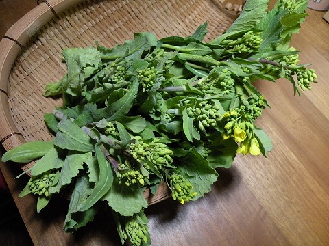 Img_d7de0b039dbbf35f3d53930f6aeeab6ecaa83ac4