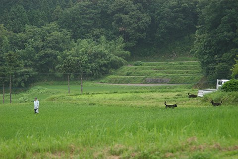 Img_dcc877c81287c266424a2c5cdfd8beb54c72118f