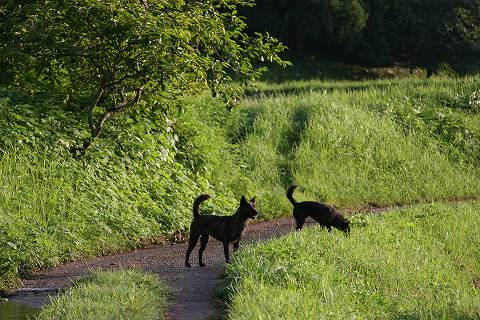 Img_e920b3c47db563f7921cee4da63629b82c7b656a