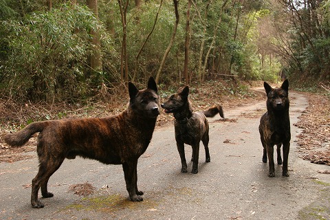 Img_fda9c2fdcc3ccad32e4be8644a5ccc784bcc4ef8