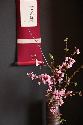 Img_846df2fbdac34a21497c4c3c1bfb62dd