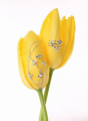 Img_e301dc921a7938bbecc192f492c7b775