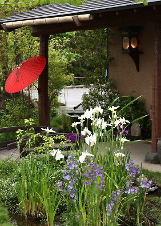 Img_e501bb5cc8ce479f4ba66066e31db9ed