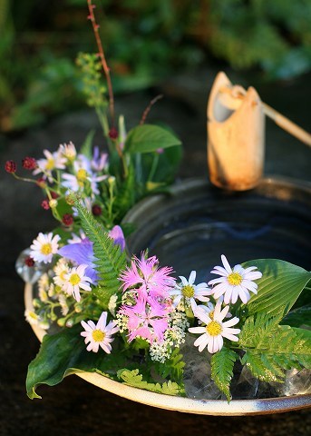 Img_fc3a66deffd269bc7f59eeb2cb4a6c0c