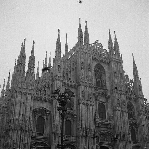 Img_7b38213b9e4fb41a8b61761c9fd7f514