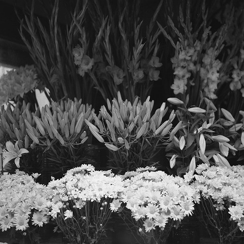 Img_bfe4e72be8122a3a9a91e03683c67e38