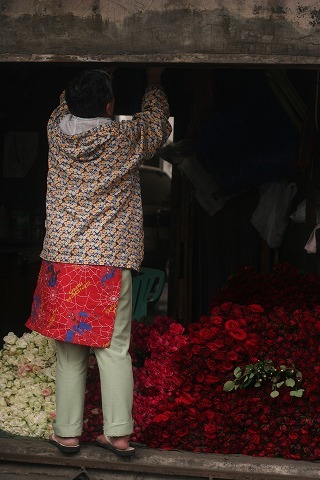 Img_01342e73febb3d12a0015301806707fa