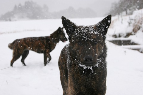 Img_01513e6044bbb6efc14f048215c182a0