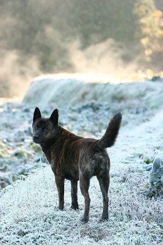 Img_01fc1e0f31ab3c73a27e609357a8be9d