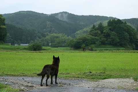 Img_02ebf433ba65b4781fa016c0d7e5dbaf