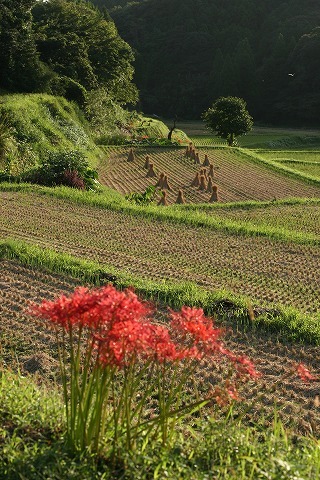 Img_07ebbac4b87afd75ed2285c87d049408