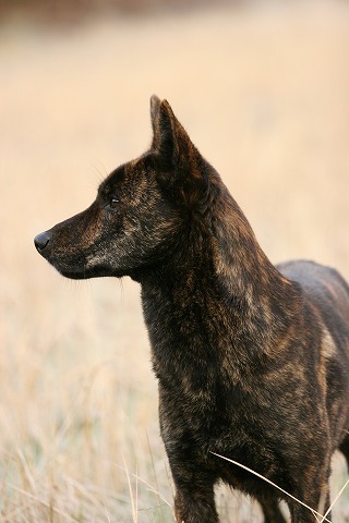 Img_0b83301f2b2f3450e947f1e63ad2aea0