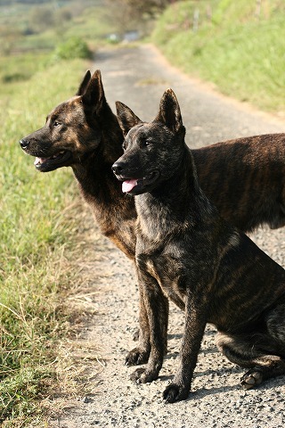 Img_147f47cdf521273ae4a6b9c11ba1f201